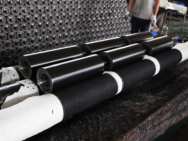 Analysis of Common Conveyor Idler Failure Modes